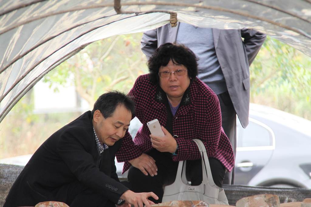 杭州亞運(yùn)會官方靈芝產(chǎn)品供應(yīng)商|杭州亞運(yùn)會官方供應(yīng)商|中國靈芝十大品牌|仙客來靈芝|仙客來靈芝破壁孢子粉|仙客來孢子油|仙客來靈芝飲片|仙客來破壁孢子粉|靈芝孢子油|孢子粉|靈芝破壁孢子粉|靈芝|中華老字號 杭州亞運(yùn)會官方靈芝產(chǎn)品供應(yīng)商|杭州亞運(yùn)會官方供應(yīng)商|中國靈芝十大品牌|仙客來靈芝|仙客來靈芝破壁孢子粉|仙客來孢子油|仙客來靈芝飲片|仙客來破壁孢子粉|靈芝孢子油|孢子粉|靈芝破壁孢子粉|靈芝|中華老字號