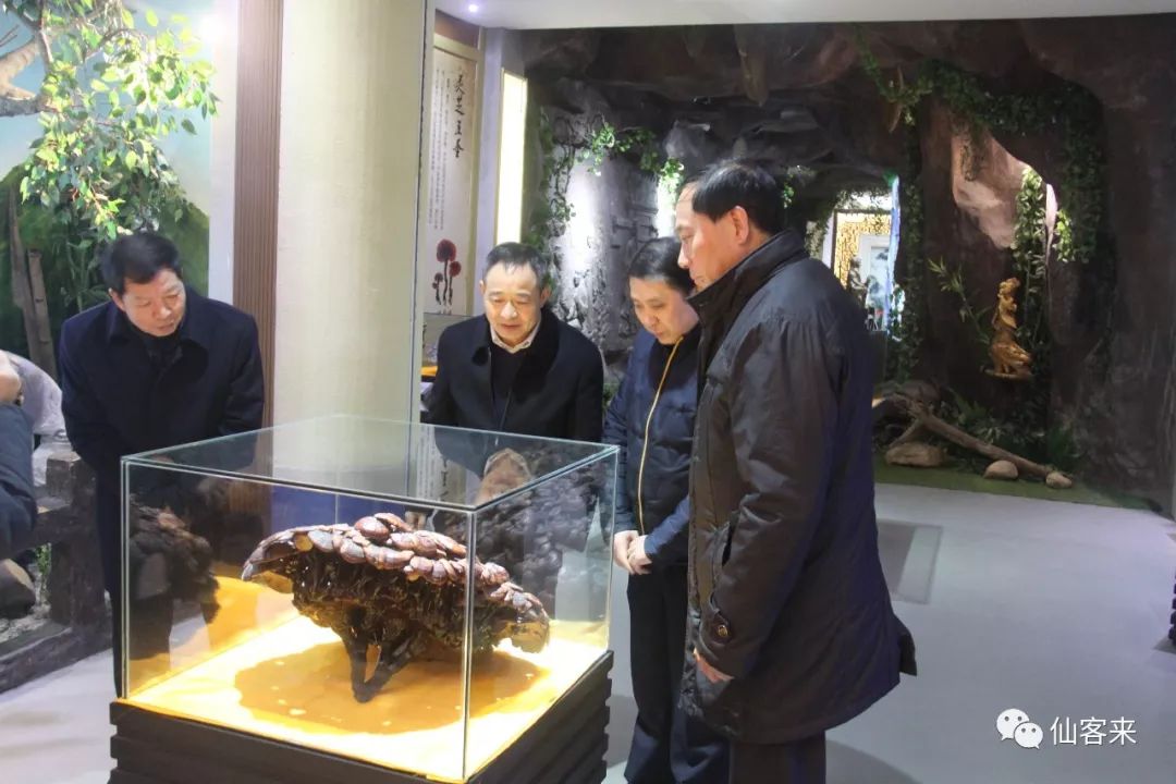 杭州亞運會官方靈芝產品供應商|杭州亞運會官方供應商|中國靈芝十大品牌|仙客來靈芝|仙客來靈芝破壁孢子粉|仙客來孢子油|仙客來靈芝飲片|仙客來破壁孢子粉|靈芝孢子油|孢子粉|靈芝破壁孢子粉|靈芝|中華老字號