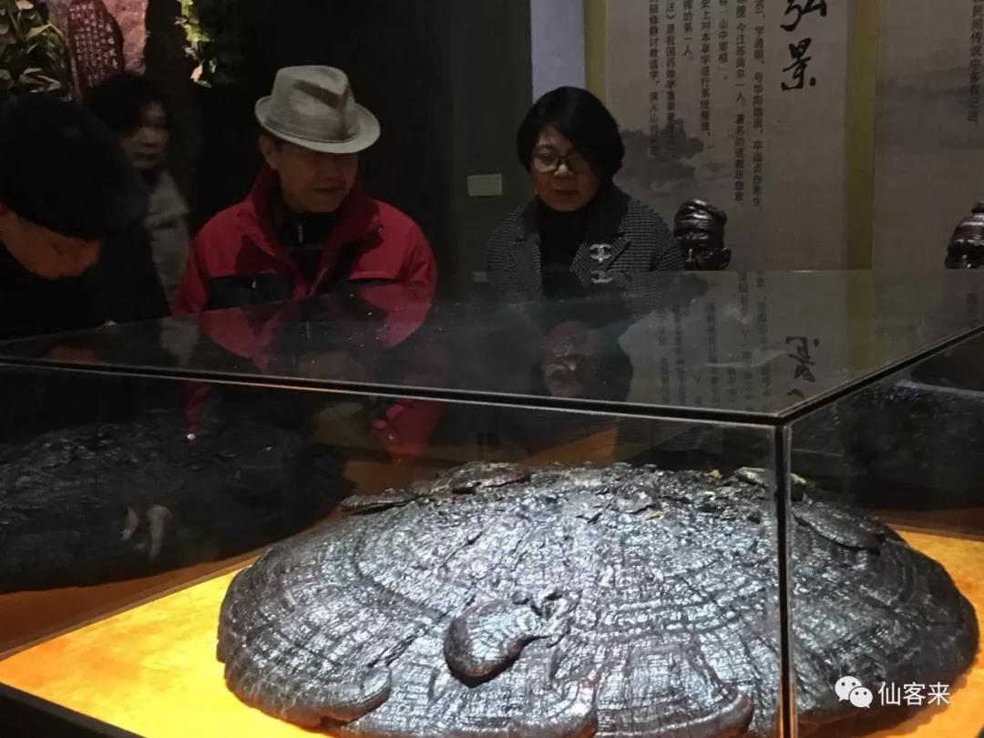 中國靈芝十大品牌|仙客來靈芝|仙客來靈芝破壁孢子粉|仙客來孢子油|仙客來靈芝飲片|仙客來破壁孢子粉|仙客來靈芝中藥飲片|馳名商標(biāo)|www.brideabi.com|