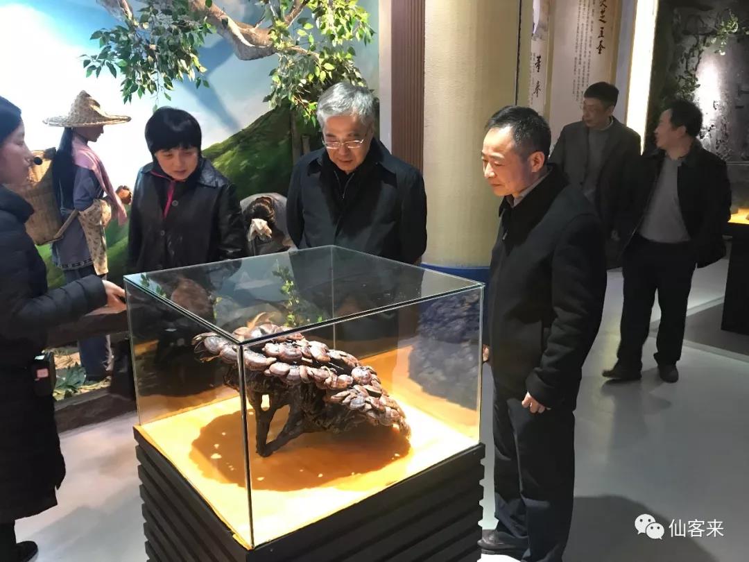 中國靈芝十大品牌|仙客來靈芝|仙客來靈芝破壁孢子粉|仙客來孢子油|仙客來靈芝飲片|仙客來破壁孢子粉|仙客來靈芝中藥飲片|馳名商標(biāo)|www.brideabi.com|