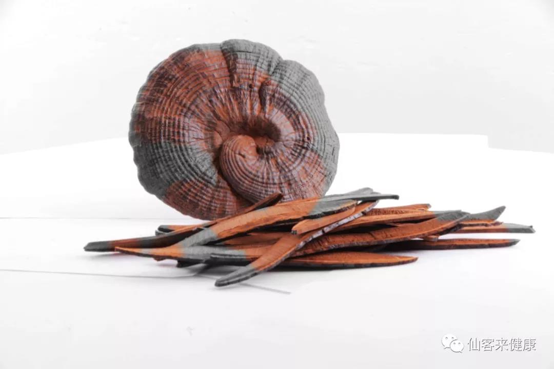 中國靈芝十大品牌|仙客來靈芝|仙客來靈芝破壁孢子粉|仙客來孢子油|仙客來靈芝飲片|仙客來破壁孢子粉|仙客來靈芝中藥飲片|馳名商標(biāo)|www.brideabi.com|