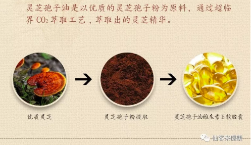 中國靈芝十大品牌|仙客來靈芝|仙客來靈芝破壁孢子粉|仙客來孢子油|仙客來靈芝飲片|仙客來破壁孢子粉|仙客來靈芝中藥飲片|馳名商標(biāo)|www.brideabi.com|