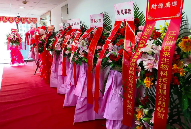 中國(guó)靈芝十大品牌|仙客來(lái)靈芝|仙客來(lái)靈芝破壁孢子粉|仙客來(lái)孢子油|仙客來(lái)靈芝飲片|仙客來(lái)破壁孢子粉|仙客來(lái)靈芝中藥飲片|馳名商標(biāo)|www.brideabi.com|