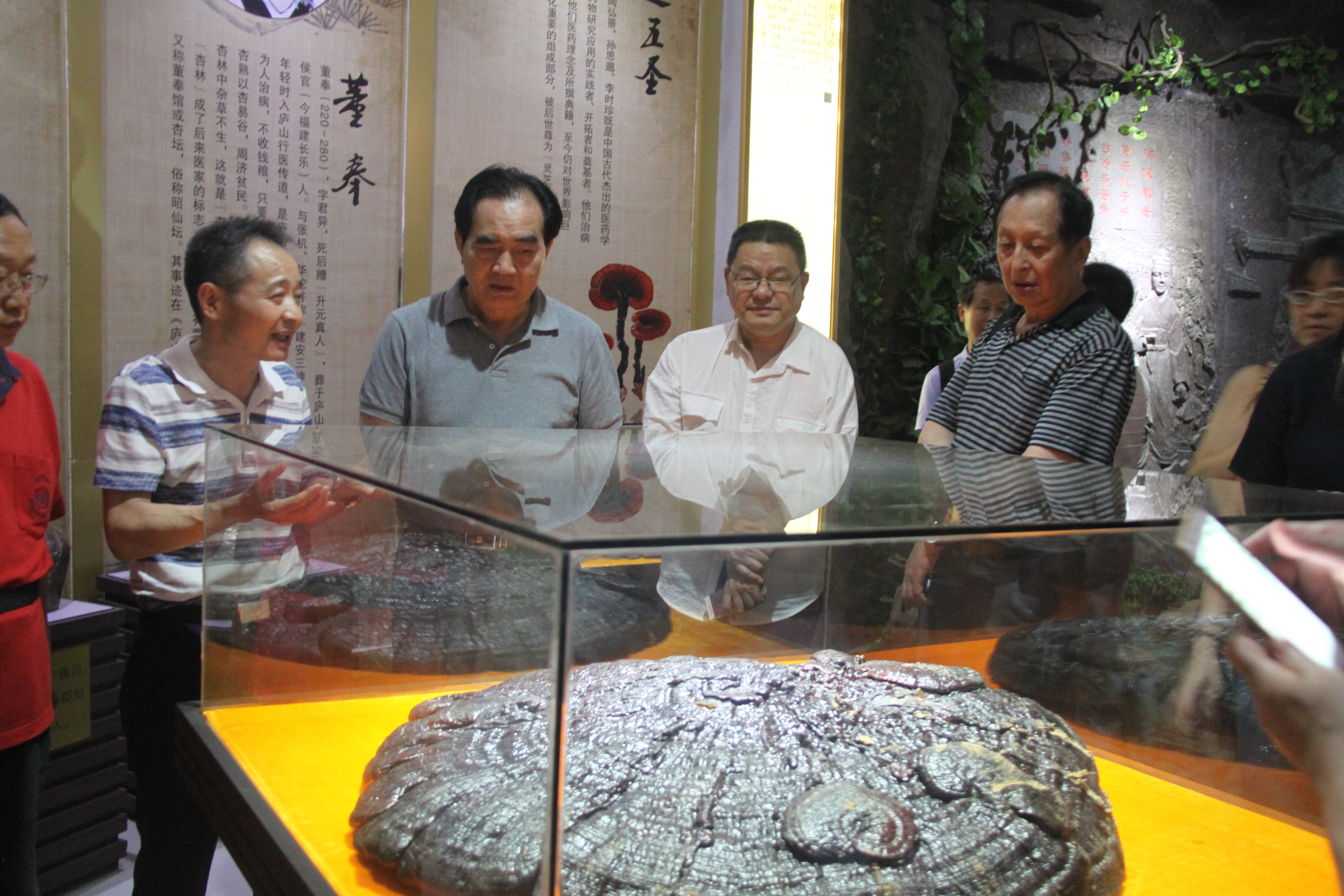 中國靈芝十大品牌|仙客來靈芝|仙客來靈芝破壁孢子粉|仙客來孢子油|仙客來靈芝飲片|仙客來破壁孢子粉|仙客來靈芝中藥飲片|馳名商標(biāo)|www.brideabi.com|