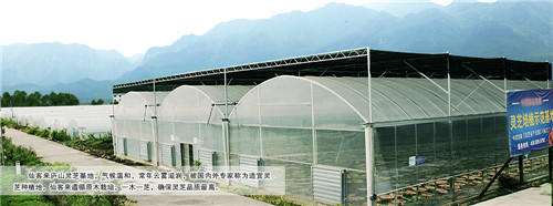 中國(guó)靈芝十大品牌|仙客來靈芝|仙客來靈芝破壁孢子粉|仙客來孢子油|仙客來靈芝飲片|仙客來破壁孢子粉|仙客來靈芝中藥飲片|馳名商標(biāo)|www.brideabi.com| 中國(guó)靈芝十大品牌|仙客來靈芝|仙客來靈芝破壁孢子粉|仙客來孢子油|仙客來靈芝飲片|仙客來破壁孢子粉|仙客來靈芝中藥飲片|馳名商標(biāo)|www.brideabi.com|