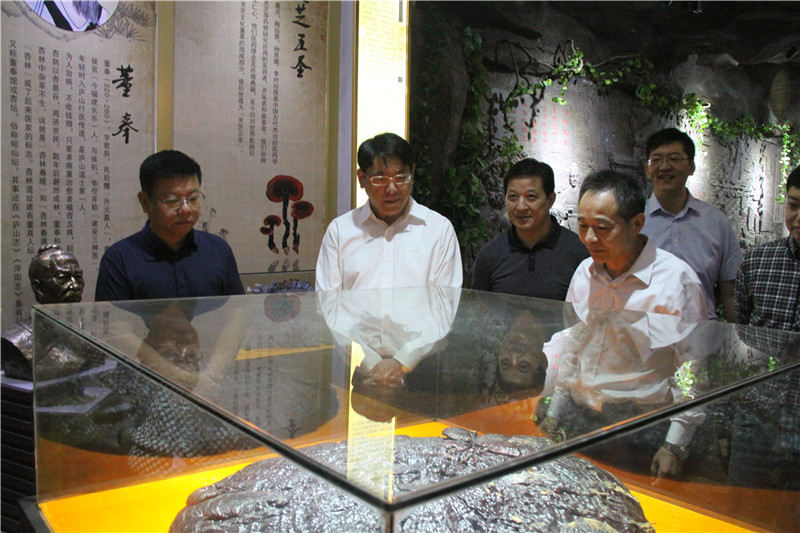 中國靈芝十大品牌|仙客來靈芝|仙客來靈芝破壁孢子粉|仙客來孢子油|仙客來靈芝飲片|仙客來破壁孢子粉|仙客來靈芝中藥飲片|馳名商標(biāo)|www.brideabi.com| 中國靈芝十大品牌|仙客來靈芝|仙客來靈芝破壁孢子粉|仙客來孢子油|仙客來靈芝飲片|仙客來破壁孢子粉|仙客來靈芝中藥飲片|馳名商標(biāo)|www.brideabi.com|