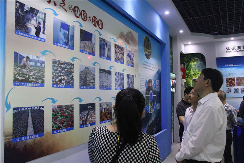 中國靈芝十大品牌|仙客來靈芝|仙客來靈芝破壁孢子粉|仙客來孢子油|仙客來靈芝飲片|仙客來破壁孢子粉|仙客來靈芝中藥飲片|馳名商標(biāo)|www.brideabi.com| 中國靈芝十大品牌|仙客來靈芝|仙客來靈芝破壁孢子粉|仙客來孢子油|仙客來靈芝飲片|仙客來破壁孢子粉|仙客來靈芝中藥飲片|馳名商標(biāo)|www.brideabi.com|