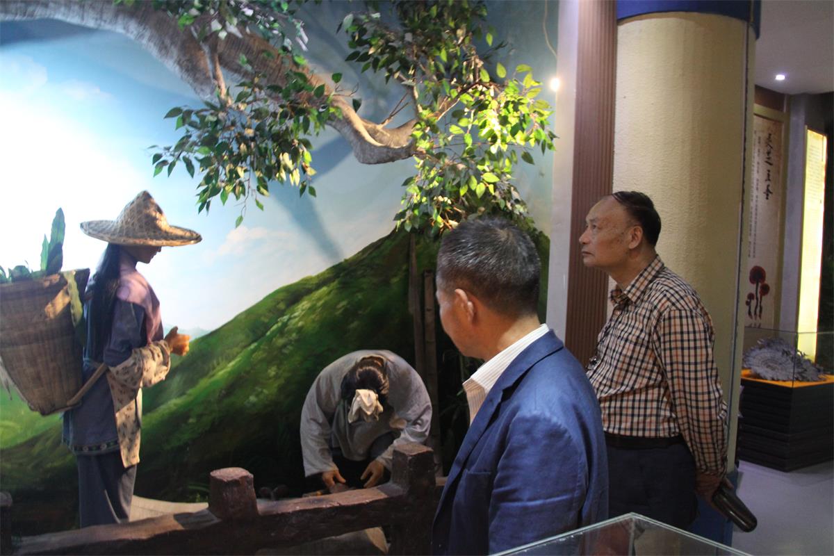 中國(guó)靈芝十大品牌|仙客來靈芝|仙客來靈芝破壁孢子粉|仙客來孢子油|仙客來靈芝飲片|仙客來破壁孢子粉|仙客來靈芝中藥飲片|馳名商標(biāo)|www.brideabi.com|