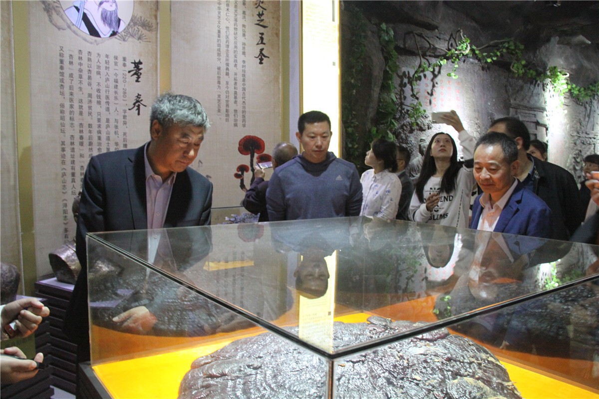 中國(guó)靈芝十大品牌|仙客來(lái)靈芝|仙客來(lái)靈芝破壁孢子粉|仙客來(lái)孢子油|仙客來(lái)靈芝飲片|仙客來(lái)破壁孢子粉|仙客來(lái)靈芝中藥飲片|馳名商標(biāo)|www.brideabi.com|
