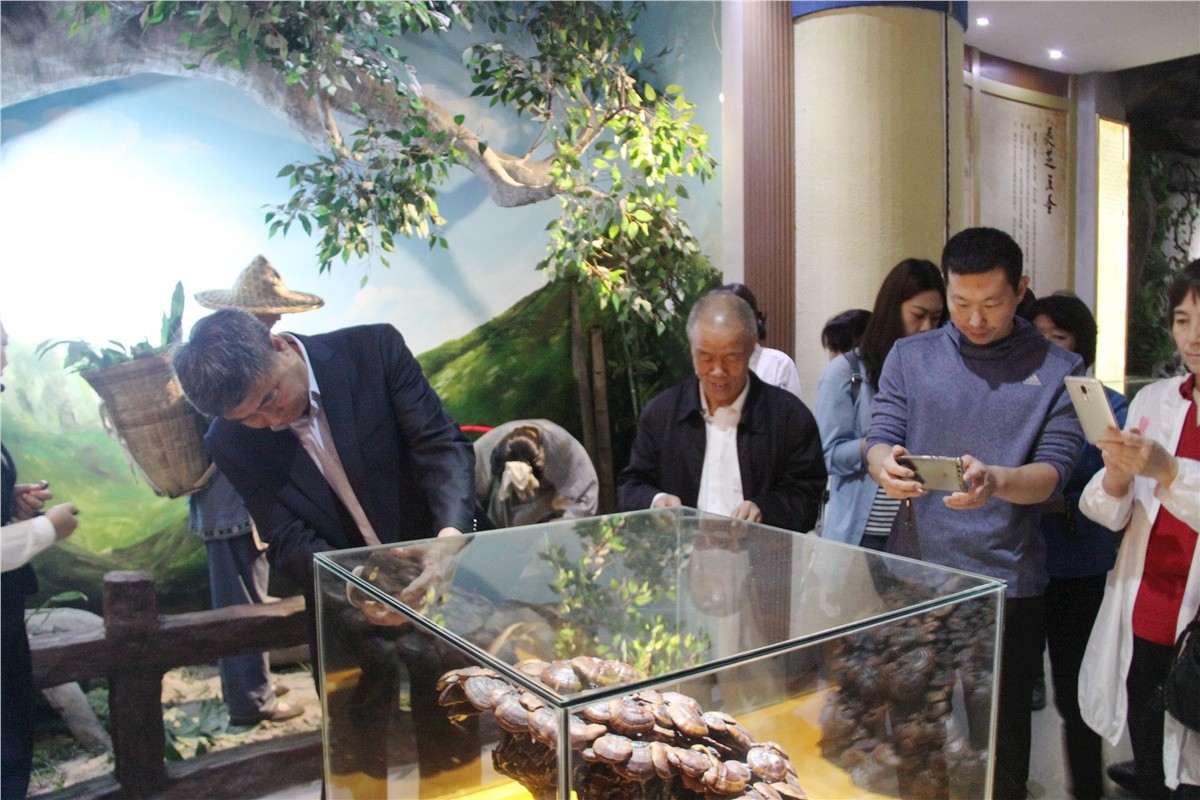 中國(guó)靈芝十大品牌|仙客來(lái)靈芝|仙客來(lái)靈芝破壁孢子粉|仙客來(lái)孢子油|仙客來(lái)靈芝飲片|仙客來(lái)破壁孢子粉|仙客來(lái)靈芝中藥飲片|馳名商標(biāo)|www.brideabi.com|