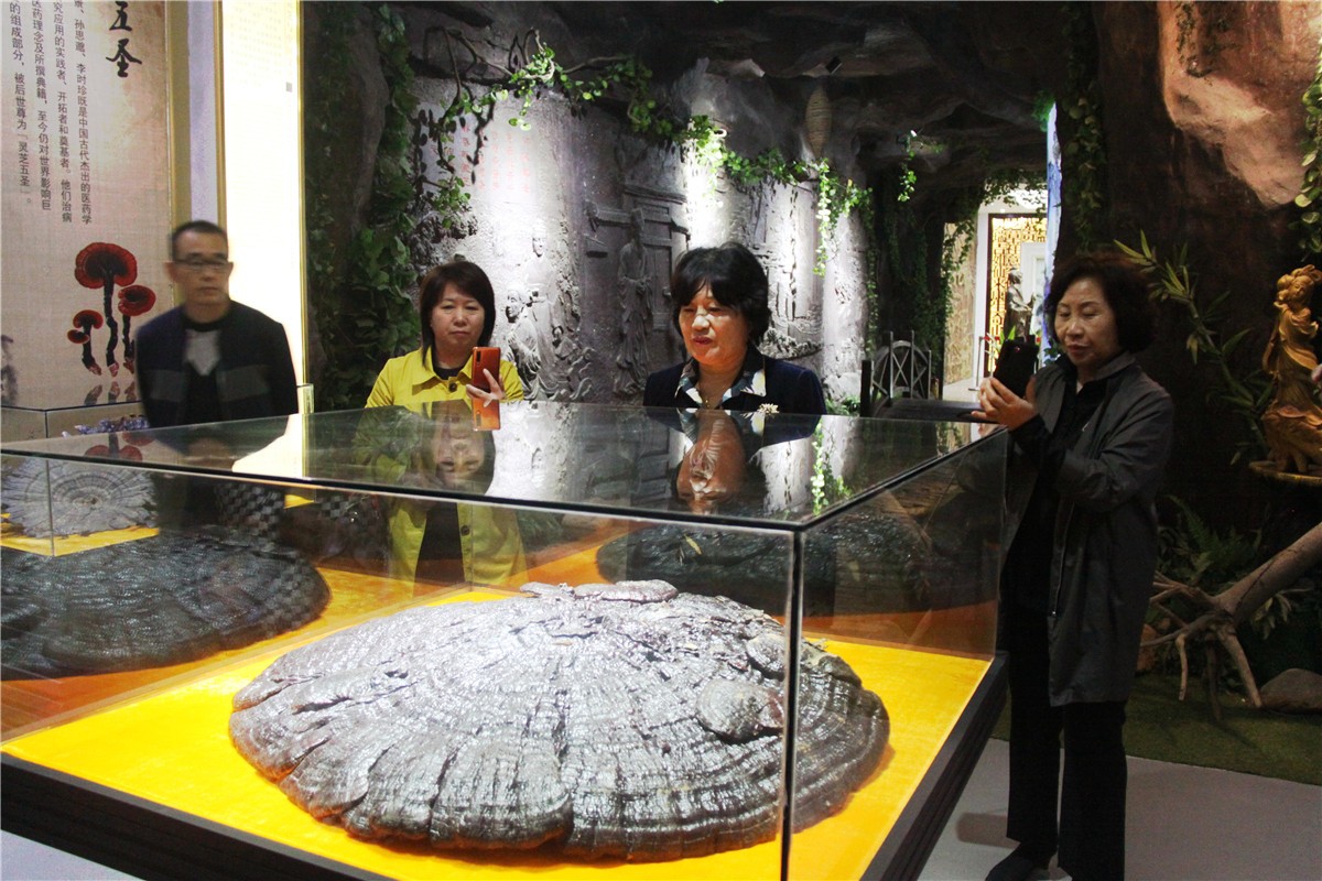 中國靈芝十大品牌|仙客來靈芝|仙客來靈芝破壁孢子粉|仙客來孢子油|仙客來靈芝飲片|仙客來破壁孢子粉|仙客來靈芝中藥飲片|馳名商標|www.brideabi.com|