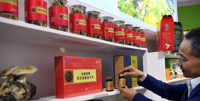 中國(guó)靈芝十大品牌|仙客來靈芝|仙客來靈芝破壁孢子粉|仙客來孢子油|仙客來靈芝飲片|仙客來破壁孢子粉|仙客來靈芝中藥飲片|馳名商標(biāo)|www.brideabi.com|