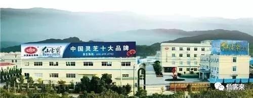 中國靈芝十大品牌|仙客來靈芝|仙客來靈芝破壁孢子粉|仙客來孢子油|仙客來靈芝飲片|仙客來破壁孢子粉|仙客來靈芝中藥飲片|馳名商標|www.brideabi.com|