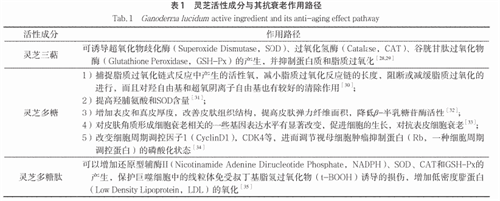 杭州亞運會官方靈芝產(chǎn)品供應(yīng)商|杭州亞運會官方供應(yīng)商|中國靈芝十大品牌|仙客來靈芝|仙客來靈芝破壁孢子粉|仙客來孢子油|仙客來靈芝飲片|仙客來破壁孢子粉|靈芝孢子油|孢子粉|靈芝破壁孢子粉|靈芝|中華老字號