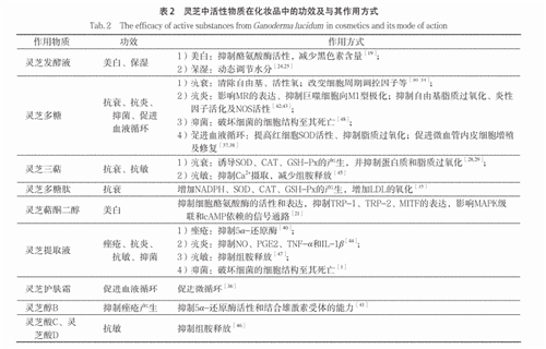 杭州亞運會官方靈芝產(chǎn)品供應(yīng)商|杭州亞運會官方供應(yīng)商|中國靈芝十大品牌|仙客來靈芝|仙客來靈芝破壁孢子粉|仙客來孢子油|仙客來靈芝飲片|仙客來破壁孢子粉|靈芝孢子油|孢子粉|靈芝破壁孢子粉|靈芝|中華老字號