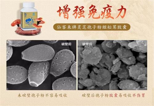 杭州亞運(yùn)會(huì)官方靈芝產(chǎn)品供應(yīng)商|杭州亞運(yùn)會(huì)官方供應(yīng)商|中國靈芝十大品牌|仙客來靈芝|仙客來靈芝破壁孢子粉|仙客來孢子油|仙客來靈芝飲片|仙客來破壁孢子粉|靈芝孢子油|孢子粉|靈芝破壁孢子粉|靈芝|中華老字號(hào)
