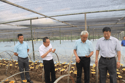 杭州亞運會官方靈芝產(chǎn)品供應(yīng)商|杭州亞運會官方供應(yīng)商|中國靈芝十大品牌|仙客來靈芝|仙客來靈芝破壁孢子粉|仙客來孢子油|仙客來靈芝飲片|仙客來破壁孢子粉|靈芝孢子油|孢子粉|靈芝破壁孢子粉|靈芝|中華老字號