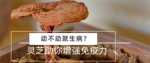 默認標(biāo)題_公眾號封面首圖_2020-06-18-0 (1).jpg