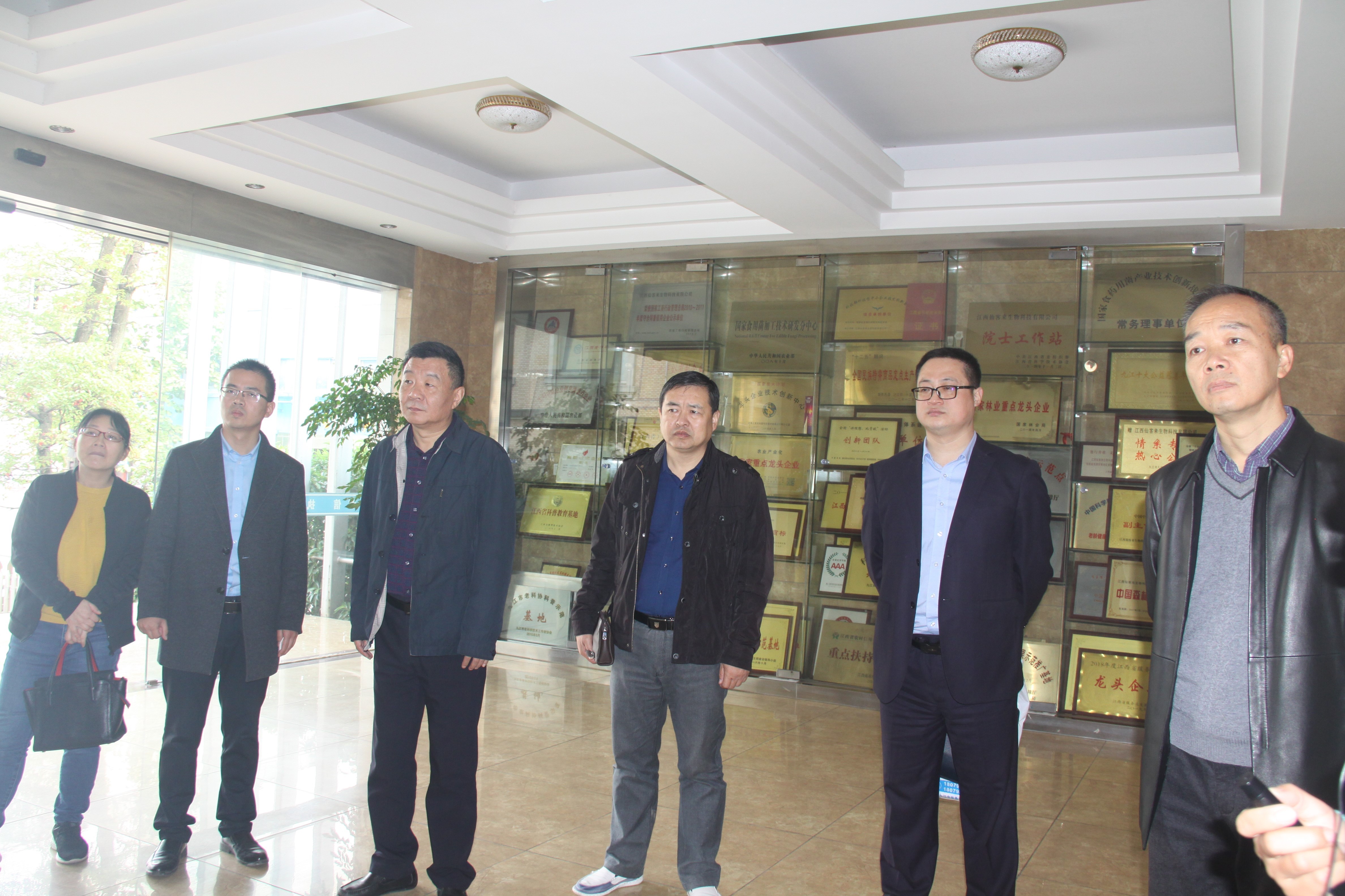 杭州亞運會官方靈芝產品供應商|杭州亞運會官方供應商|中國靈芝十大品牌|仙客來靈芝|仙客來靈芝破壁孢子粉|仙客來孢子油|仙客來靈芝飲片|仙客來破壁孢子粉|靈芝孢子油|孢子粉|靈芝破壁孢子粉|靈芝|中華老字號
