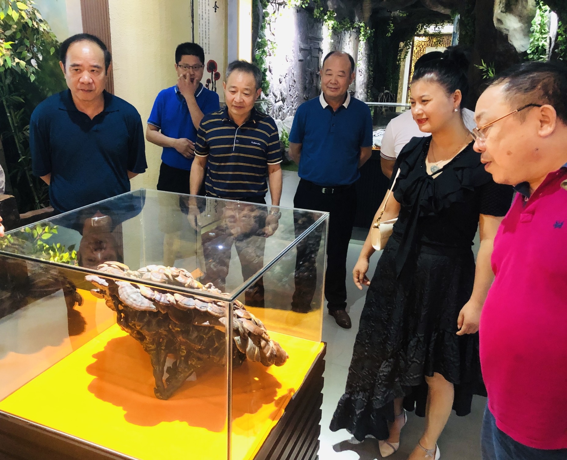杭州亞運(yùn)會(huì)官方靈芝產(chǎn)品供應(yīng)商|杭州亞運(yùn)會(huì)官方供應(yīng)商|中國靈芝十大品牌|仙客來靈芝|仙客來靈芝破壁孢子粉|仙客來孢子油|仙客來靈芝飲片|仙客來破壁孢子粉|靈芝孢子油|孢子粉|靈芝破壁孢子粉|靈芝|中華老字號(hào)