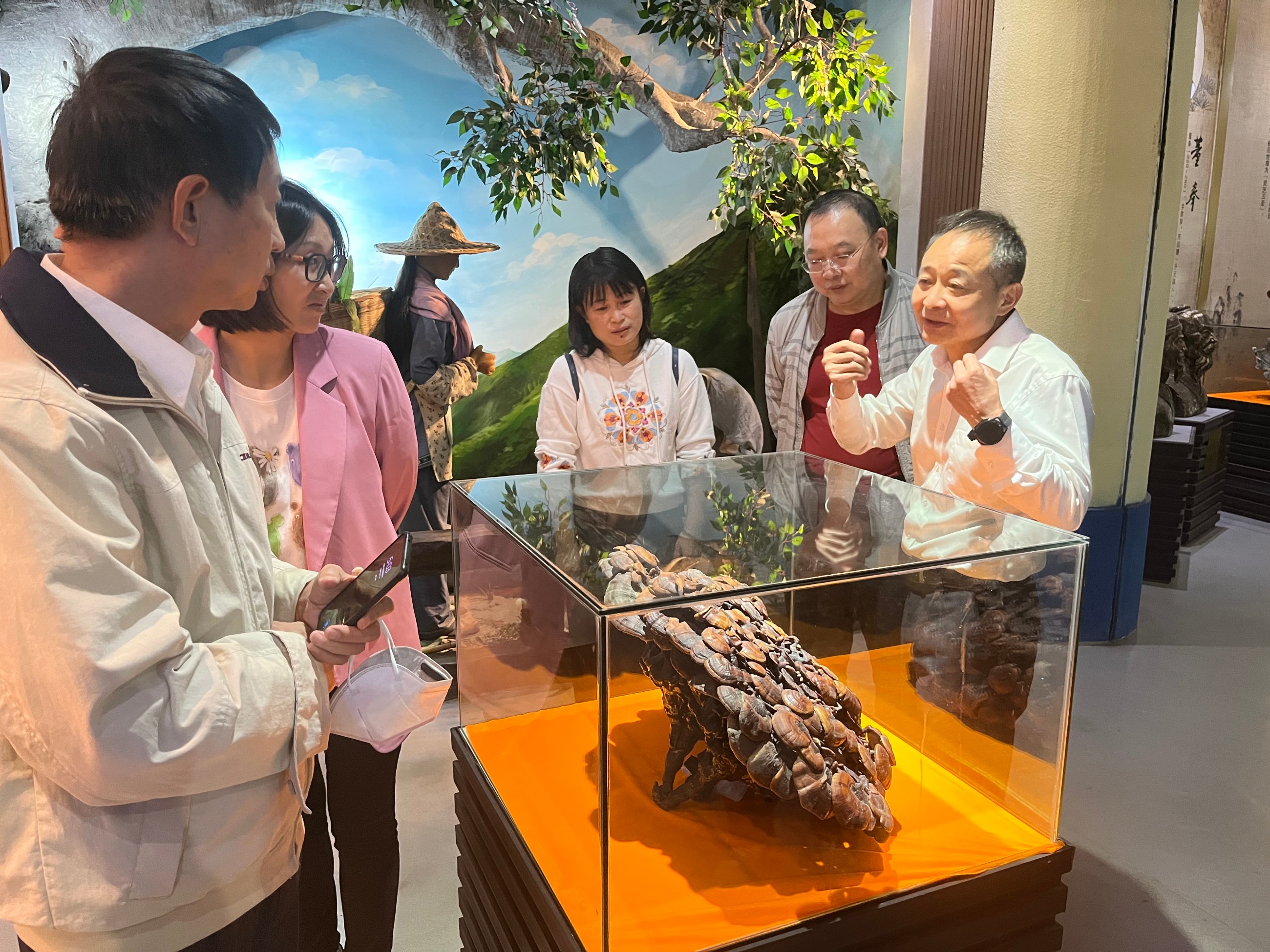 杭州亞運(yùn)會(huì)官方靈芝產(chǎn)品供應(yīng)商|杭州亞運(yùn)會(huì)官方供應(yīng)商|中國(guó)靈芝十大品牌|仙客來靈芝|仙客來靈芝破壁孢子粉|仙客來孢子油|仙客來靈芝飲片|仙客來破壁孢子粉|靈芝孢子油|孢子粉|靈芝破壁孢子粉|靈芝|中華老字號(hào)