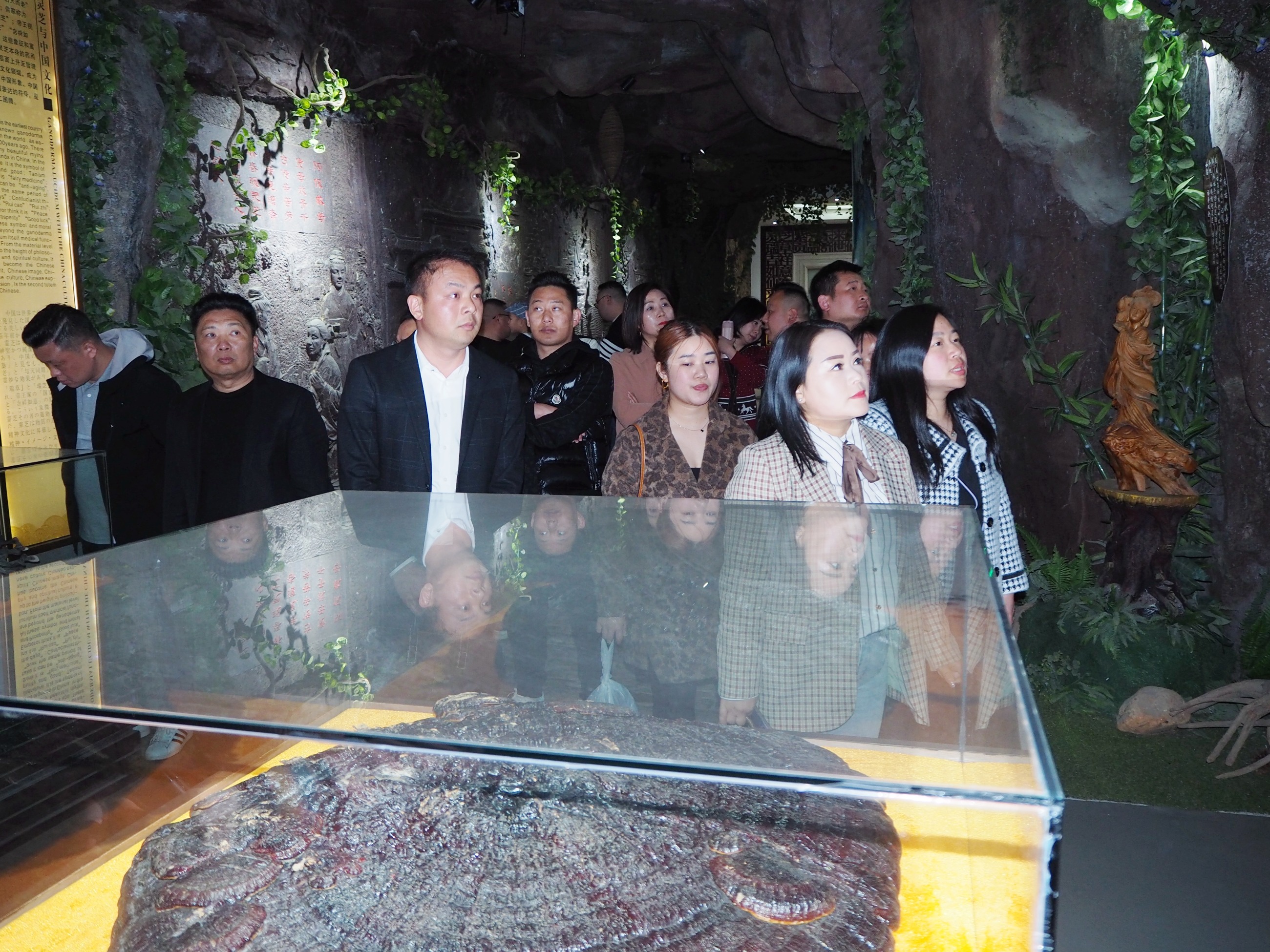 杭州亞運(yùn)會官方靈芝產(chǎn)品供應(yīng)商|杭州亞運(yùn)會官方供應(yīng)商|中國靈芝十大品牌|仙客來靈芝|仙客來靈芝破壁孢子粉|仙客來孢子油|仙客來靈芝飲片|仙客來破壁孢子粉|靈芝孢子油|孢子粉|靈芝破壁孢子粉|靈芝|中華老字號 杭州亞運(yùn)會官方靈芝產(chǎn)品供應(yīng)商|杭州亞運(yùn)會官方供應(yīng)商|中國靈芝十大品牌|仙客來靈芝|仙客來靈芝破壁孢子粉|仙客來孢子油|仙客來靈芝飲片|仙客來破壁孢子粉|靈芝孢子油|孢子粉|靈芝破壁孢子粉|靈芝|中華老字號