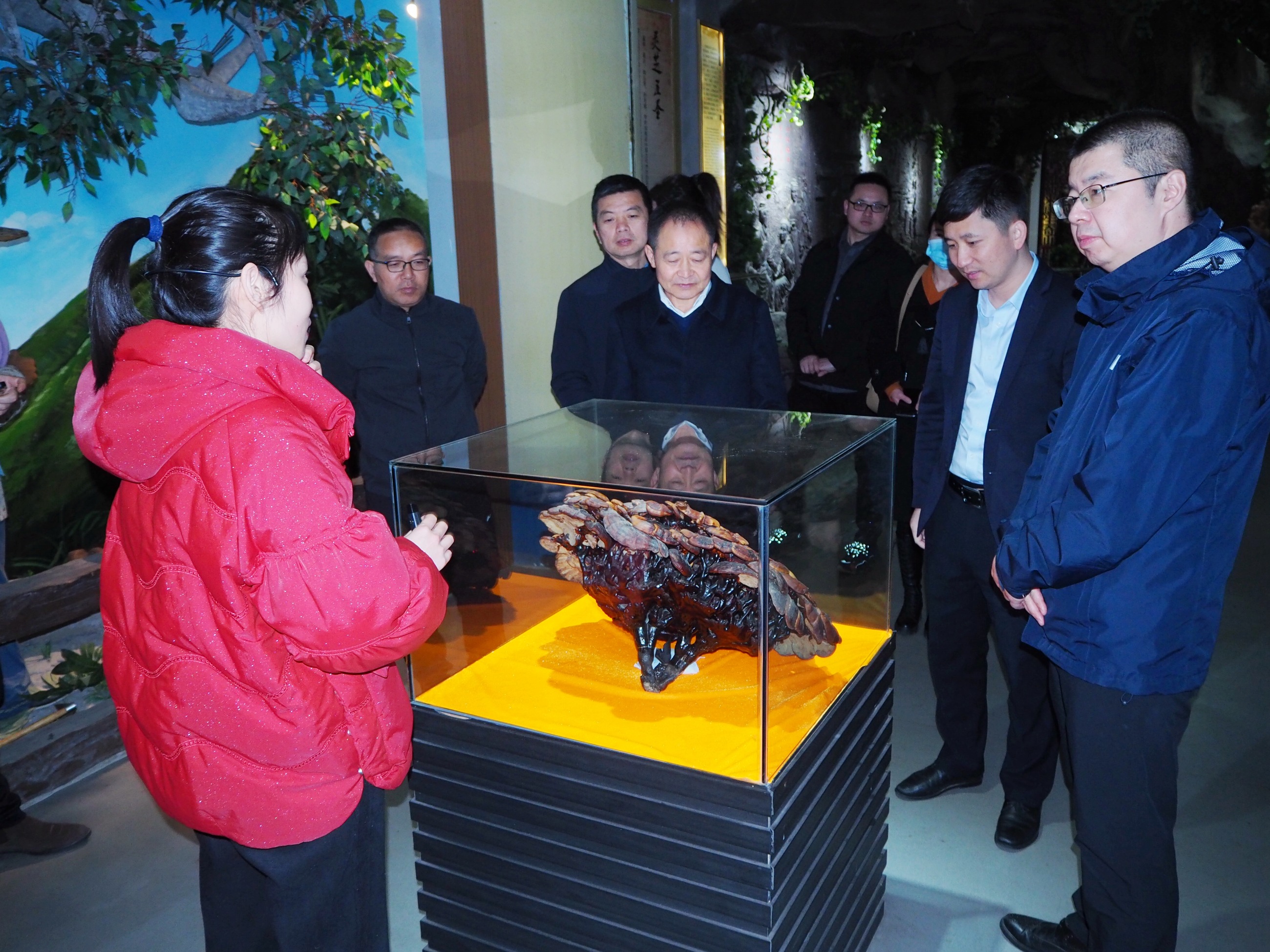 杭州亞運(yùn)會官方靈芝產(chǎn)品供應(yīng)商|杭州亞運(yùn)會官方供應(yīng)商|中國靈芝十大品牌|仙客來靈芝|仙客來靈芝破壁孢子粉|仙客來孢子油|仙客來靈芝飲片|仙客來破壁孢子粉|靈芝孢子油|孢子粉|靈芝破壁孢子粉|靈芝|中華老字號