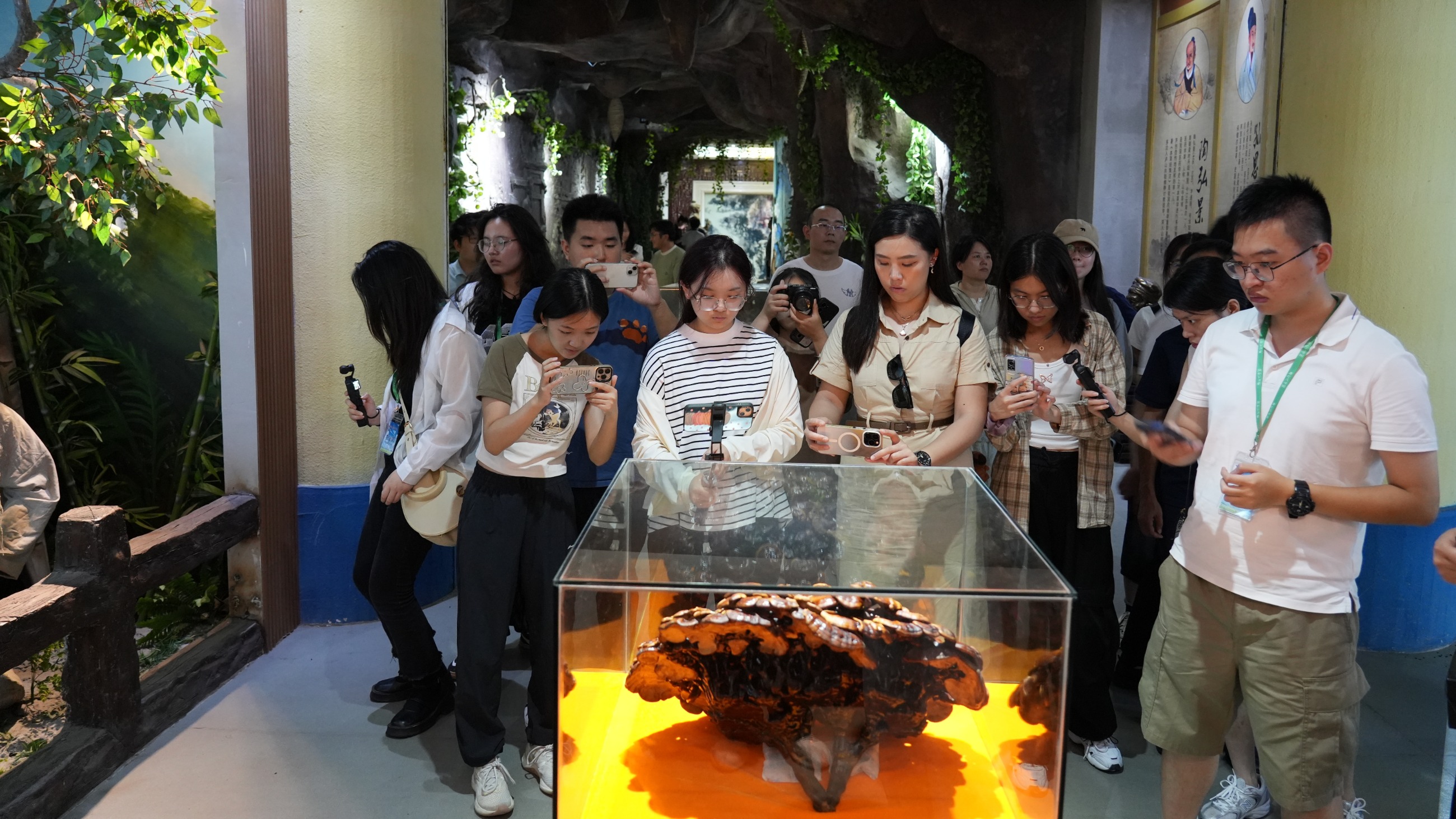 杭州亞運會官方靈芝產(chǎn)品供應(yīng)商|杭州亞運會官方供應(yīng)商|中國靈芝十大品牌|仙客來靈芝|仙客來靈芝破壁孢子粉|仙客來孢子油|仙客來靈芝飲片|仙客來破壁孢子粉|靈芝孢子油|孢子粉|靈芝破壁孢子粉|靈芝|中華老字號 杭州亞運會官方靈芝產(chǎn)品供應(yīng)商|杭州亞運會官方供應(yīng)商|中國靈芝十大品牌|仙客來靈芝|仙客來靈芝破壁孢子粉|仙客來孢子油|仙客來靈芝飲片|仙客來破壁孢子粉|靈芝孢子油|孢子粉|靈芝破壁孢子粉|靈芝|中華老字號