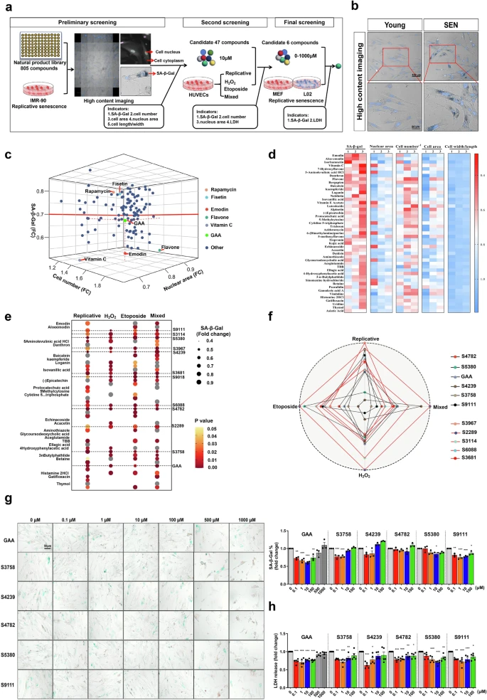 杭州亞運會官方靈芝產(chǎn)品供應(yīng)商|杭州亞運會官方供應(yīng)商|中國靈芝十大品牌|仙客來靈芝|仙客來靈芝破壁孢子粉|仙客來孢子油|仙客來靈芝飲片|仙客來破壁孢子粉|靈芝孢子油|孢子粉|靈芝破壁孢子粉|靈芝|中華老字號 杭州亞運會官方靈芝產(chǎn)品供應(yīng)商|杭州亞運會官方供應(yīng)商|中國靈芝十大品牌|仙客來靈芝|仙客來靈芝破壁孢子粉|仙客來孢子油|仙客來靈芝飲片|仙客來破壁孢子粉|靈芝孢子油|孢子粉|靈芝破壁孢子粉|靈芝|中華老字號