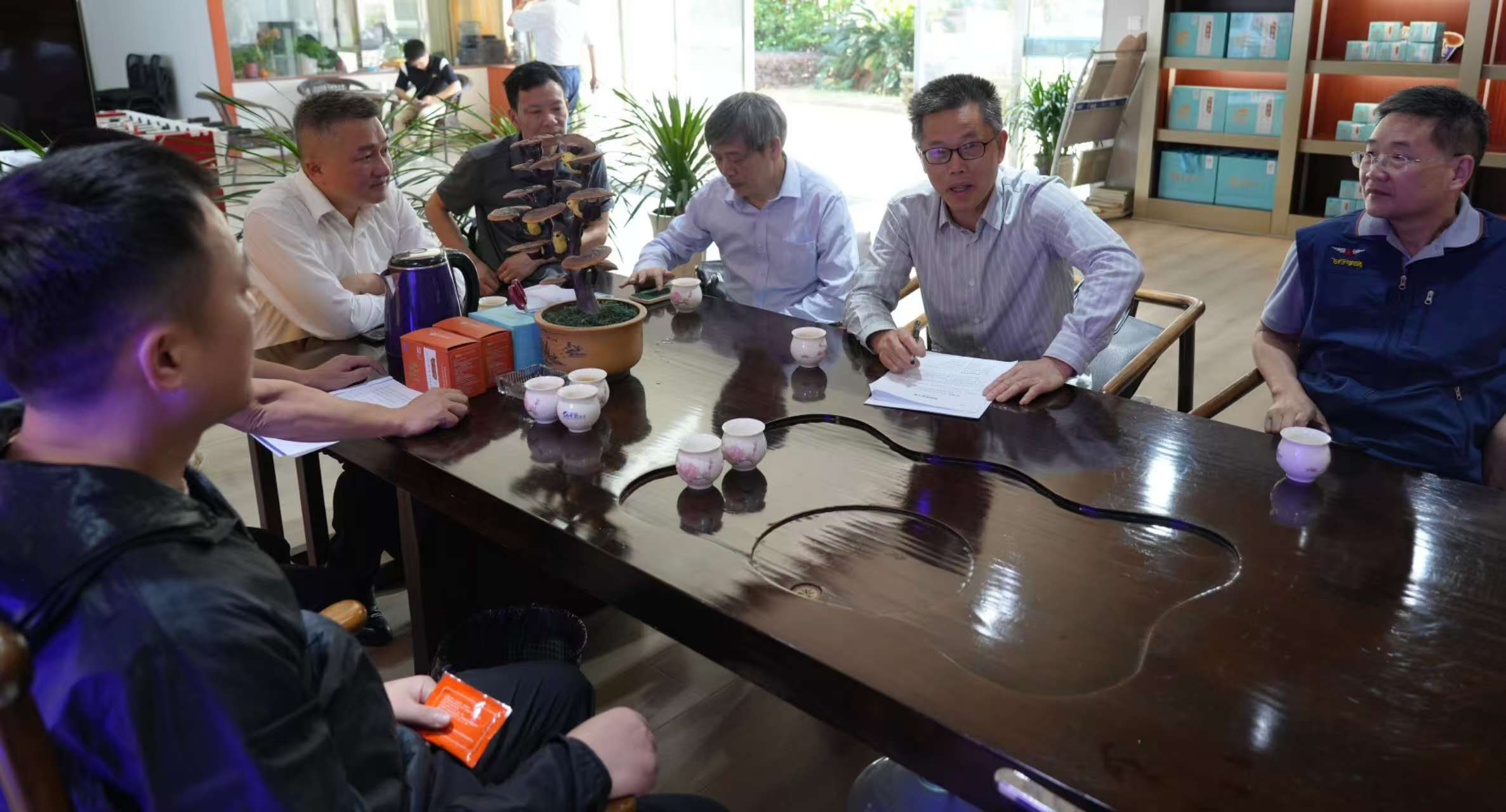 杭州亞運會官方靈芝產(chǎn)品供應(yīng)商|杭州亞運會官方供應(yīng)商|中國靈芝十大品牌|仙客來靈芝|仙客來靈芝破壁孢子粉|仙客來孢子油|仙客來靈芝飲片|仙客來破壁孢子粉|靈芝孢子油|孢子粉|靈芝破壁孢子粉|靈芝|中華老字號