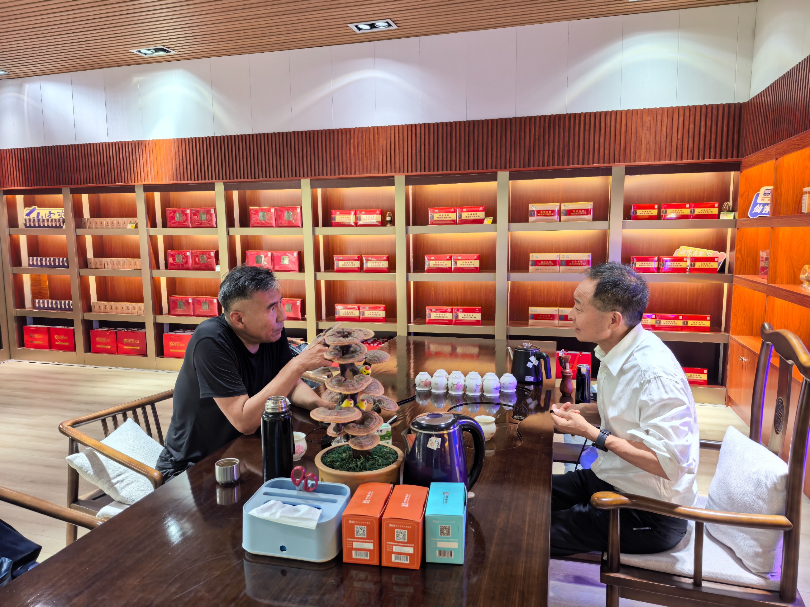 杭州亞運(yùn)會(huì)官方靈芝產(chǎn)品供應(yīng)商|杭州亞運(yùn)會(huì)官方供應(yīng)商|中國(guó)靈芝十大品牌|仙客來(lái)靈芝|仙客來(lái)靈芝破壁孢子粉|仙客來(lái)孢子油|仙客來(lái)靈芝飲片|仙客來(lái)破壁孢子粉|靈芝孢子油|孢子粉|靈芝破壁孢子粉|靈芝|中華老字號(hào)