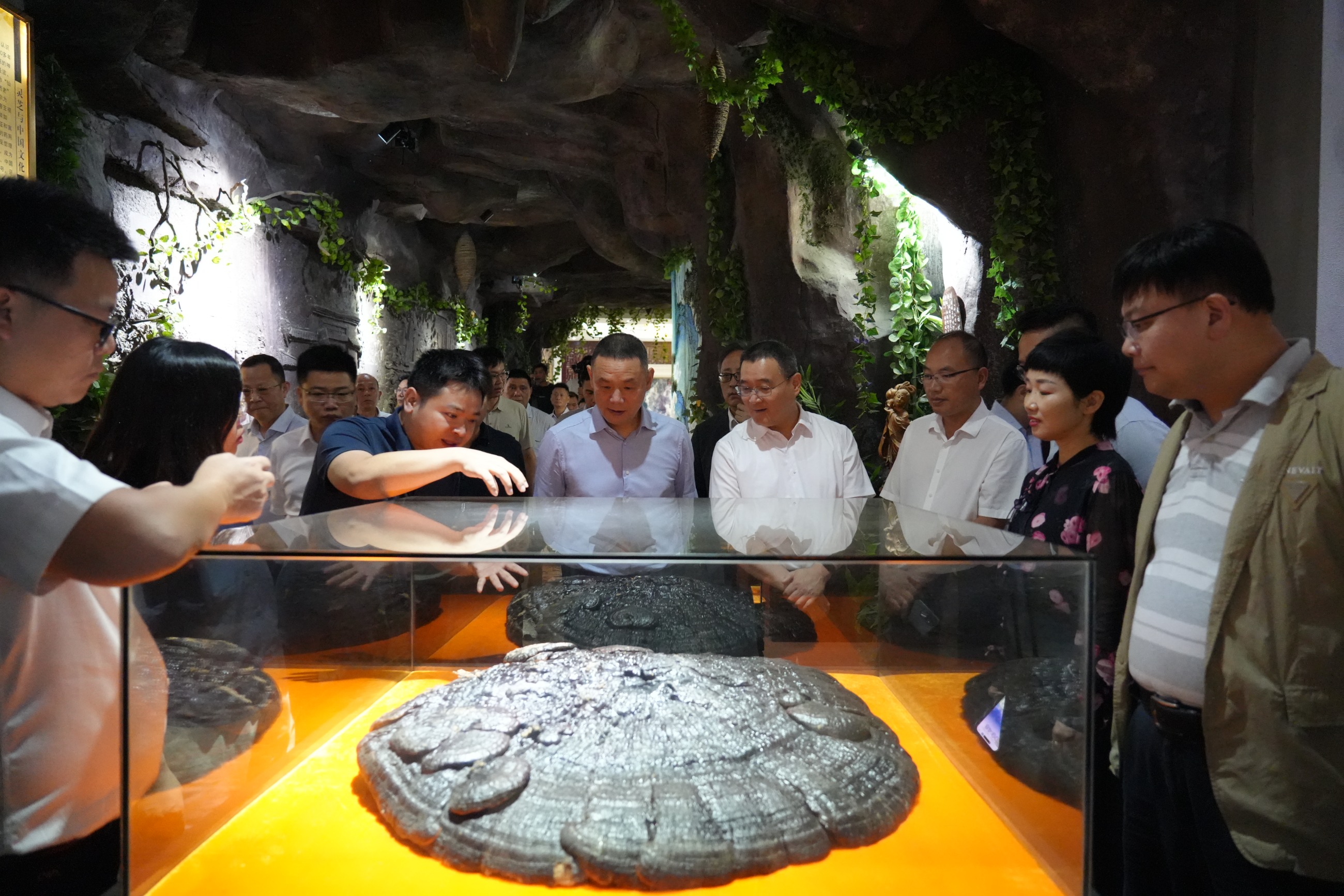 杭州亞運會官方靈芝產(chǎn)品供應(yīng)商|杭州亞運會官方供應(yīng)商|中國靈芝十大品牌|仙客來靈芝|仙客來靈芝破壁孢子粉|仙客來孢子油|仙客來靈芝飲片|仙客來破壁孢子粉|靈芝孢子油|孢子粉|靈芝破壁孢子粉|靈芝|中華老字號