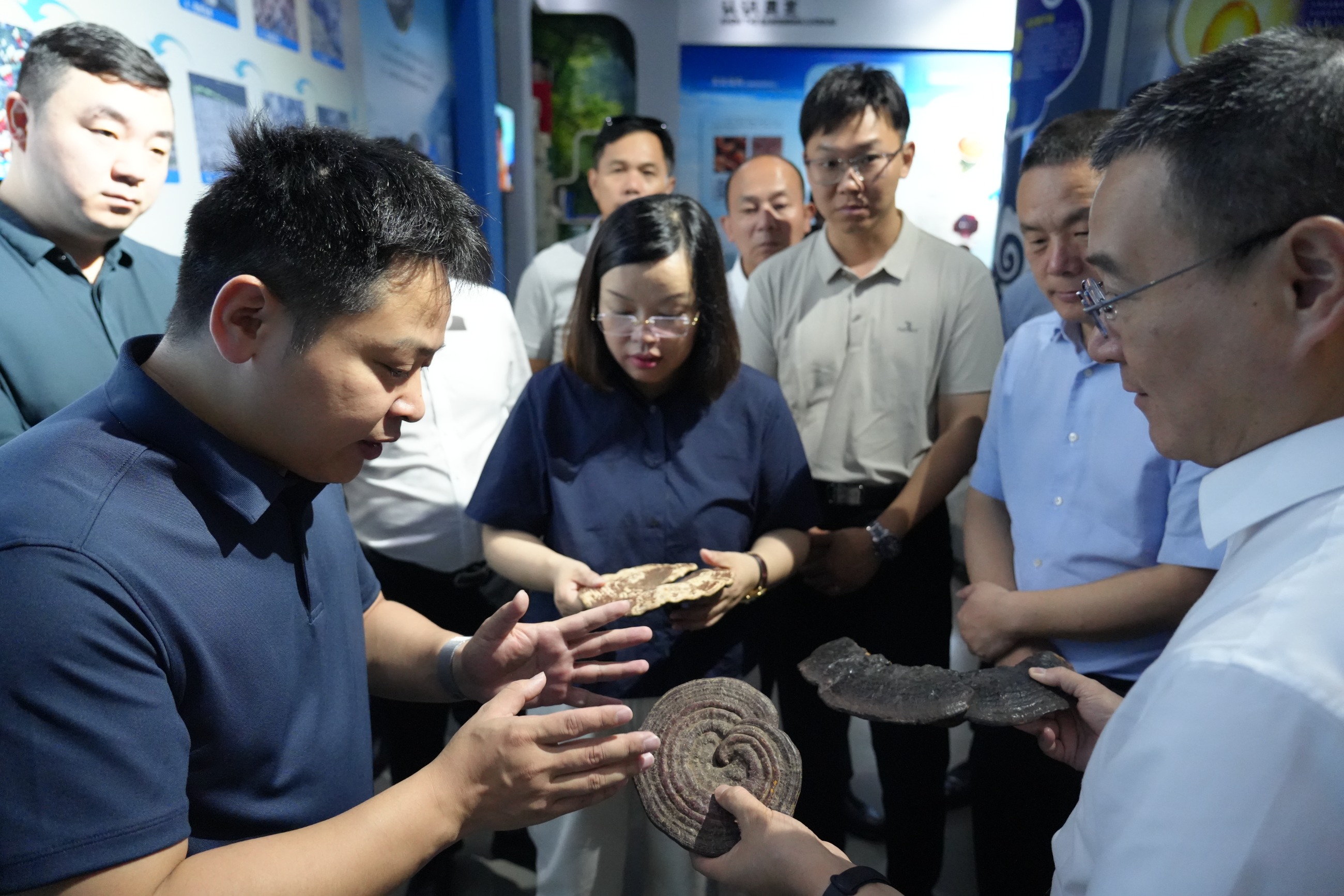 杭州亞運會官方靈芝產(chǎn)品供應(yīng)商|杭州亞運會官方供應(yīng)商|中國靈芝十大品牌|仙客來靈芝|仙客來靈芝破壁孢子粉|仙客來孢子油|仙客來靈芝飲片|仙客來破壁孢子粉|靈芝孢子油|孢子粉|靈芝破壁孢子粉|靈芝|中華老字號