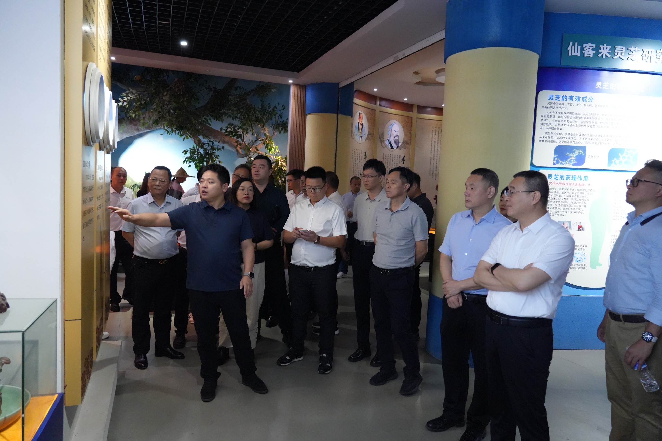 杭州亞運會官方靈芝產(chǎn)品供應(yīng)商|杭州亞運會官方供應(yīng)商|中國靈芝十大品牌|仙客來靈芝|仙客來靈芝破壁孢子粉|仙客來孢子油|仙客來靈芝飲片|仙客來破壁孢子粉|靈芝孢子油|孢子粉|靈芝破壁孢子粉|靈芝|中華老字號