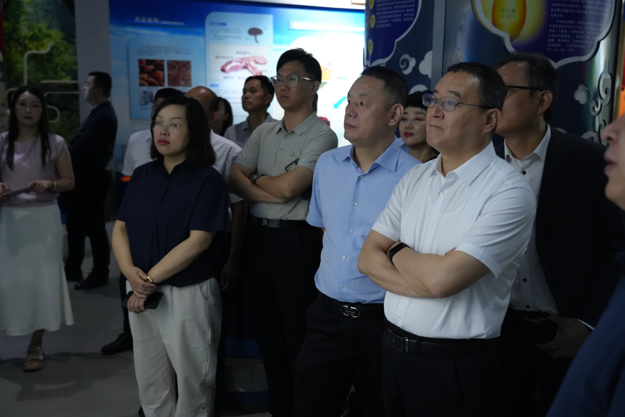 杭州亞運會官方靈芝產(chǎn)品供應(yīng)商|杭州亞運會官方供應(yīng)商|中國靈芝十大品牌|仙客來靈芝|仙客來靈芝破壁孢子粉|仙客來孢子油|仙客來靈芝飲片|仙客來破壁孢子粉|靈芝孢子油|孢子粉|靈芝破壁孢子粉|靈芝|中華老字號