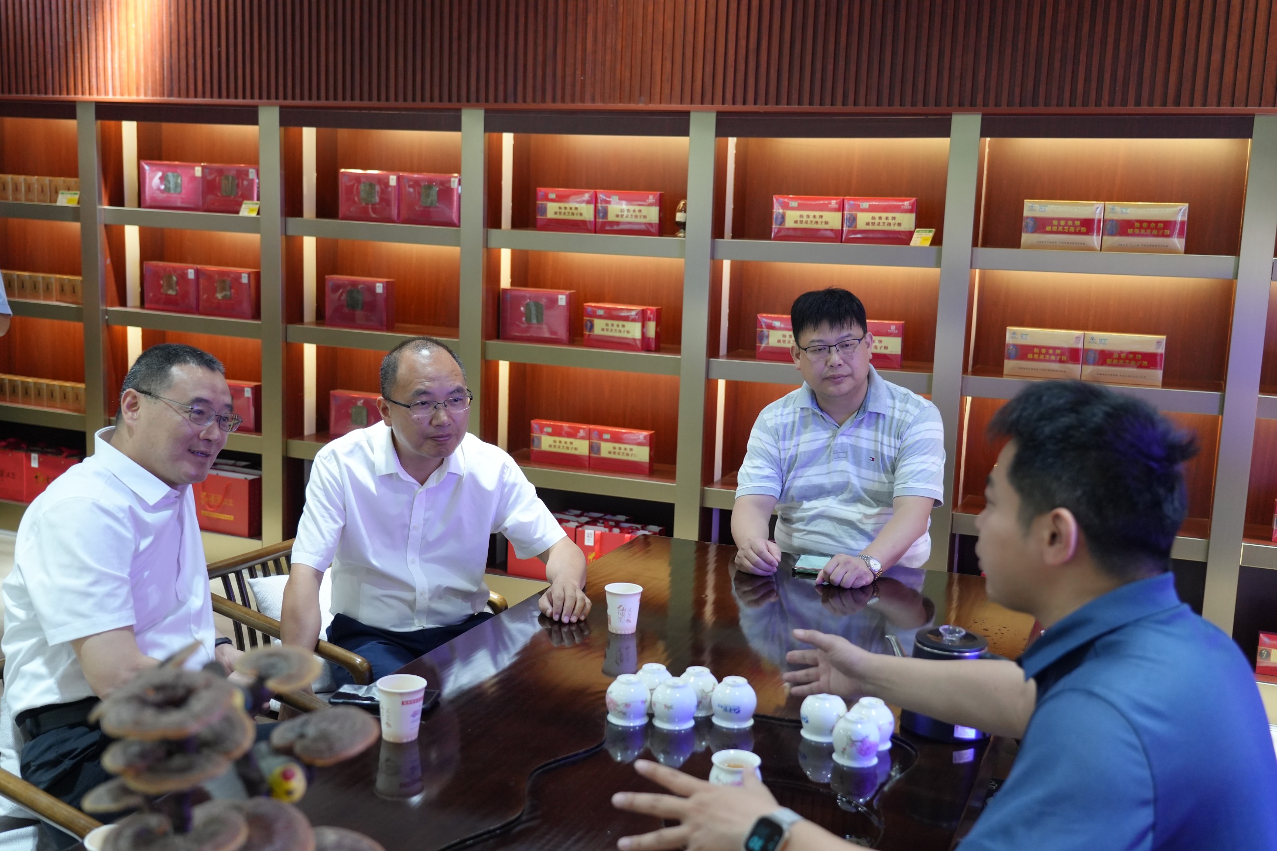 杭州亞運會官方靈芝產(chǎn)品供應(yīng)商|杭州亞運會官方供應(yīng)商|中國靈芝十大品牌|仙客來靈芝|仙客來靈芝破壁孢子粉|仙客來孢子油|仙客來靈芝飲片|仙客來破壁孢子粉|靈芝孢子油|孢子粉|靈芝破壁孢子粉|靈芝|中華老字號