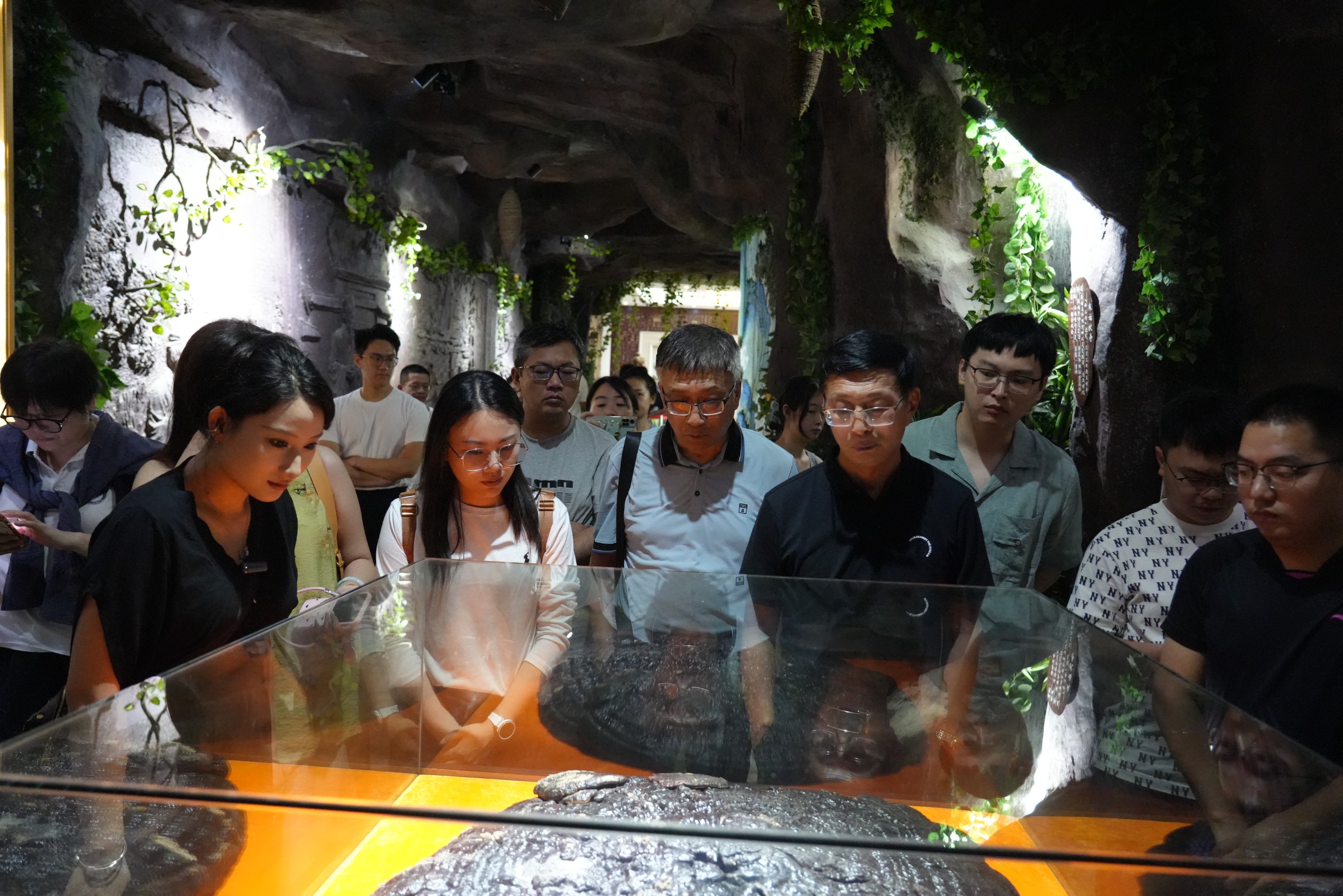 杭州亞運(yùn)會(huì)官方靈芝產(chǎn)品供應(yīng)商|杭州亞運(yùn)會(huì)官方供應(yīng)商|中國(guó)靈芝十大品牌|仙客來(lái)靈芝|仙客來(lái)靈芝破壁孢子粉|仙客來(lái)孢子油|仙客來(lái)靈芝飲片|仙客來(lái)破壁孢子粉|靈芝孢子油|孢子粉|靈芝破壁孢子粉|靈芝|中華老字號(hào)