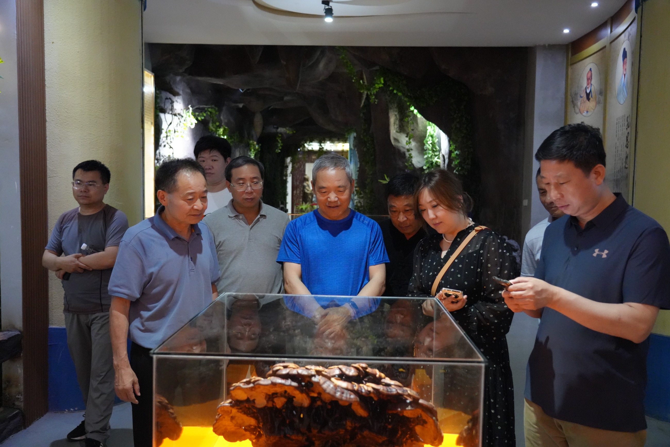 杭州亞運(yùn)會(huì)官方靈芝產(chǎn)品供應(yīng)商|杭州亞運(yùn)會(huì)官方供應(yīng)商|中國(guó)靈芝十大品牌|仙客來(lái)靈芝|仙客來(lái)靈芝破壁孢子粉|仙客來(lái)孢子油|仙客來(lái)靈芝飲片|仙客來(lái)破壁孢子粉|靈芝孢子油|孢子粉|靈芝破壁孢子粉|靈芝|中華老字號(hào) 杭州亞運(yùn)會(huì)官方靈芝產(chǎn)品供應(yīng)商|杭州亞運(yùn)會(huì)官方供應(yīng)商|中國(guó)靈芝十大品牌|仙客來(lái)靈芝|仙客來(lái)靈芝破壁孢子粉|仙客來(lái)孢子油|仙客來(lái)靈芝飲片|仙客來(lái)破壁孢子粉|靈芝孢子油|孢子粉|靈芝破壁孢子粉|靈芝|中華老字號(hào)