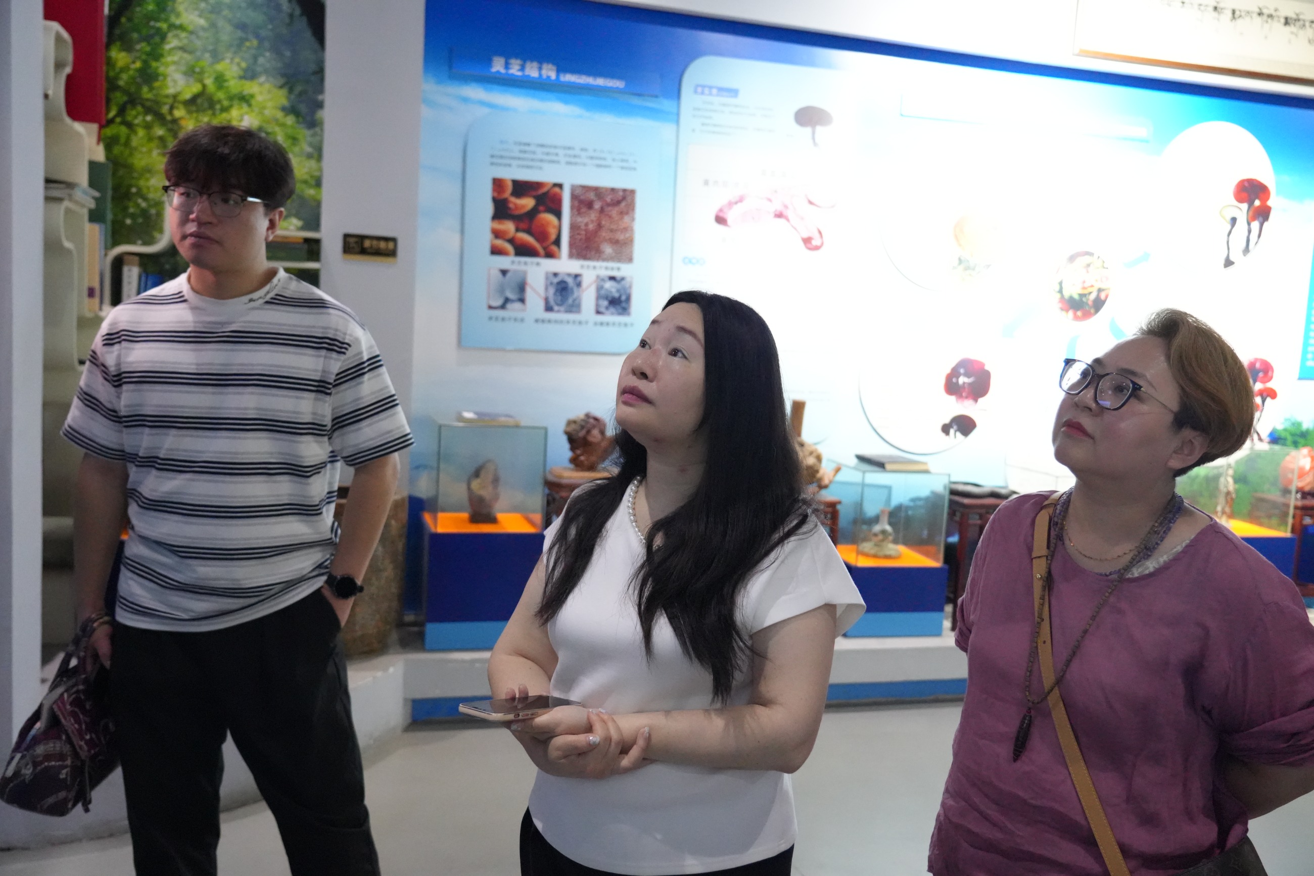 杭州亞運(yùn)會(huì)官方靈芝產(chǎn)品供應(yīng)商|杭州亞運(yùn)會(huì)官方供應(yīng)商|中國(guó)靈芝十大品牌|仙客來(lái)靈芝|仙客來(lái)靈芝破壁孢子粉|仙客來(lái)孢子油|仙客來(lái)靈芝飲片|仙客來(lái)破壁孢子粉|靈芝孢子油|孢子粉|靈芝破壁孢子粉|靈芝|中華老字號(hào) 杭州亞運(yùn)會(huì)官方靈芝產(chǎn)品供應(yīng)商|杭州亞運(yùn)會(huì)官方供應(yīng)商|中國(guó)靈芝十大品牌|仙客來(lái)靈芝|仙客來(lái)靈芝破壁孢子粉|仙客來(lái)孢子油|仙客來(lái)靈芝飲片|仙客來(lái)破壁孢子粉|靈芝孢子油|孢子粉|靈芝破壁孢子粉|靈芝|中華老字號(hào)