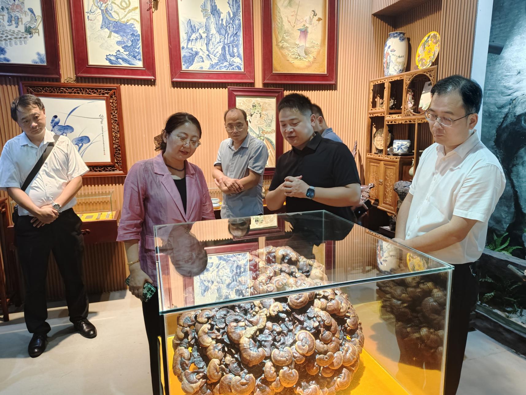 杭州亞運會官方靈芝產(chǎn)品供應(yīng)商|杭州亞運會官方供應(yīng)商|中國靈芝十大品牌|仙客來靈芝|仙客來靈芝破壁孢子粉|仙客來孢子油|仙客來靈芝飲片|仙客來破壁孢子粉|靈芝孢子油|孢子粉|靈芝破壁孢子粉|靈芝|中華老字號 杭州亞運會官方靈芝產(chǎn)品供應(yīng)商|杭州亞運會官方供應(yīng)商|中國靈芝十大品牌|仙客來靈芝|仙客來靈芝破壁孢子粉|仙客來孢子油|仙客來靈芝飲片|仙客來破壁孢子粉|靈芝孢子油|孢子粉|靈芝破壁孢子粉|靈芝|中華老字號