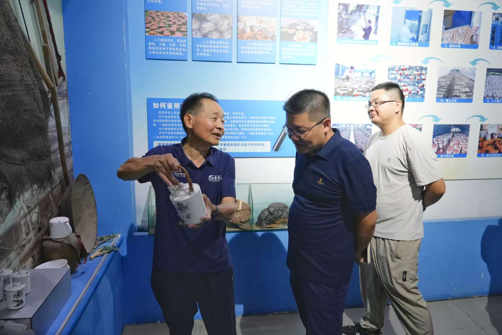 杭州亞運(yùn)會(huì)官方靈芝產(chǎn)品供應(yīng)商|杭州亞運(yùn)會(huì)官方供應(yīng)商|中國(guó)靈芝十大品牌|仙客來(lái)靈芝|仙客來(lái)靈芝破壁孢子粉|仙客來(lái)孢子油|仙客來(lái)靈芝飲片|仙客來(lái)破壁孢子粉|靈芝孢子油|孢子粉|靈芝破壁孢子粉|靈芝|中華老字號(hào) 杭州亞運(yùn)會(huì)官方靈芝產(chǎn)品供應(yīng)商|杭州亞運(yùn)會(huì)官方供應(yīng)商|中國(guó)靈芝十大品牌|仙客來(lái)靈芝|仙客來(lái)靈芝破壁孢子粉|仙客來(lái)孢子油|仙客來(lái)靈芝飲片|仙客來(lái)破壁孢子粉|靈芝孢子油|孢子粉|靈芝破壁孢子粉|靈芝|中華老字號(hào)