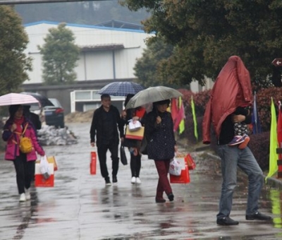 九江暴雨，仙客來“暴游”