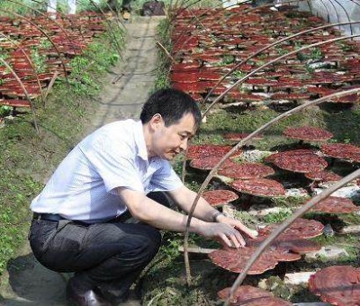 《中國食品報》報道仙客來公司多產業(yè)融合發(fā)展