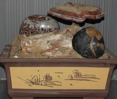 仙客來四件作品入選“首屆中國食用菌文化作品展”