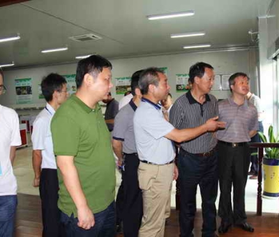 德安縣委、人大、政協(xié)領(lǐng)導(dǎo)考察仙客來公司