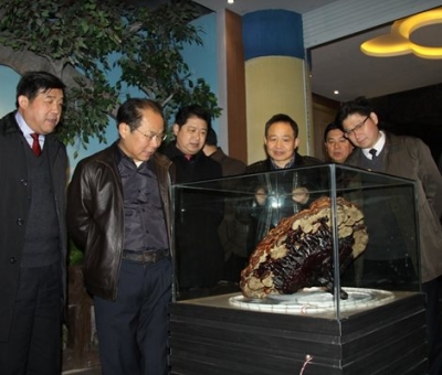 市委常委、宣傳部長潘熙寧，副市長盧天錫蒞臨仙客來公司走訪