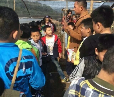 仙客來有機靈芝全產業(yè)鏈可視工廠今年接待游客突破7萬