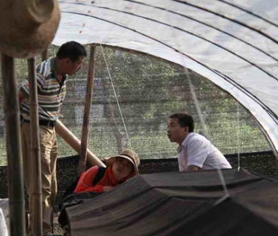 著名真菌學家戴玉成教授蒞臨仙客來公司考察指導(dǎo)