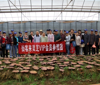 “慶國(guó)慶、賀重陽(yáng)”專家義診活動(dòng)在仙客來(lái)公司隆重舉行