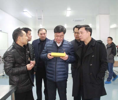 江西省檢察院黨組成員、副檢察長徐勝平一行來公司走訪調(diào)研
